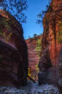 Zion Slot Canyon-3951.jpg